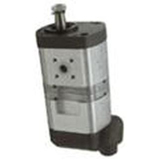 HYDRAULIC PUMP - 3142564R91Ε